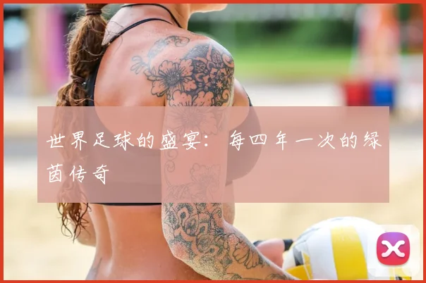世界足球的盛宴:每四年一次的绿茵传奇