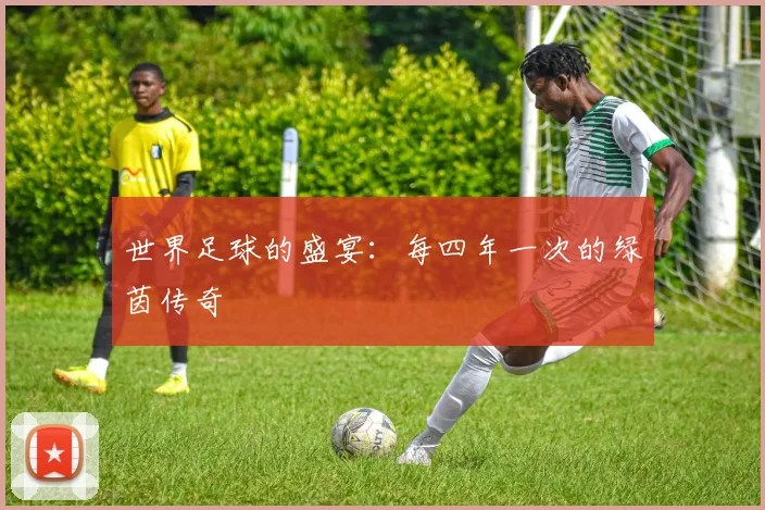 世界足球的盛宴:每四年一次的绿茵传奇